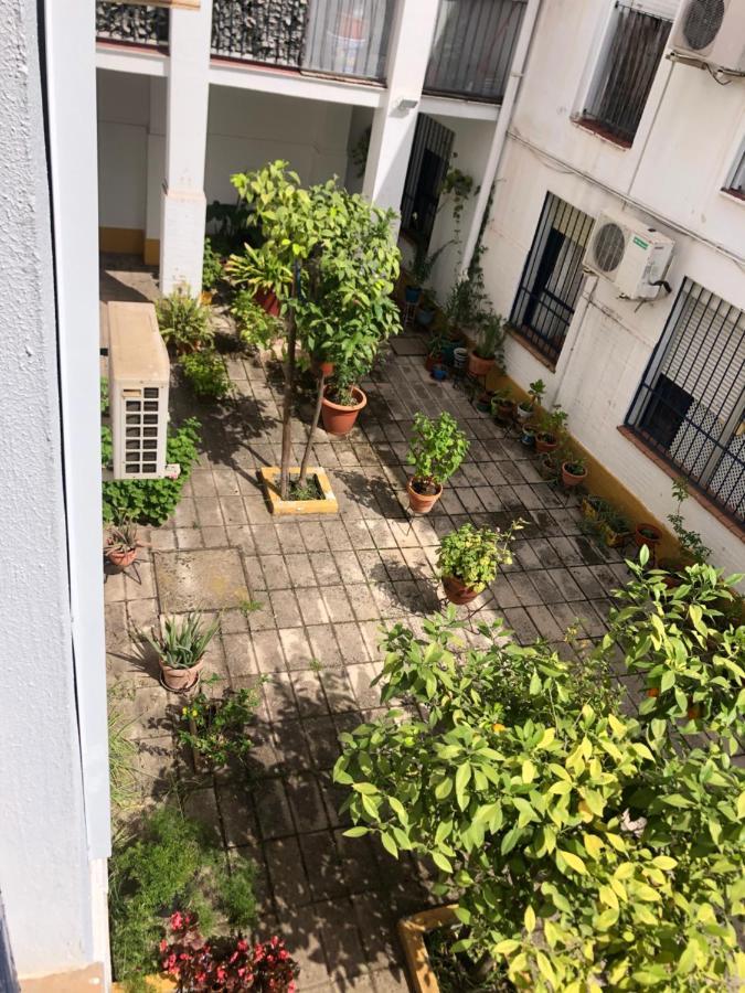 Apartamento Plaza Santa Lucia Renovado Febrero 2025 Seville Luaran gambar
